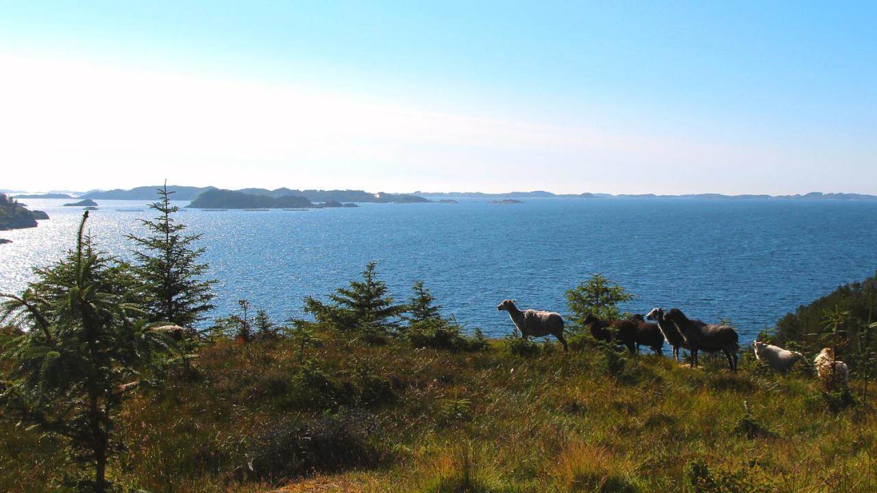 Kobbaneset Hk - Tett Pa Havet - Bekkjarvik Daire Dış mekan fotoğraf