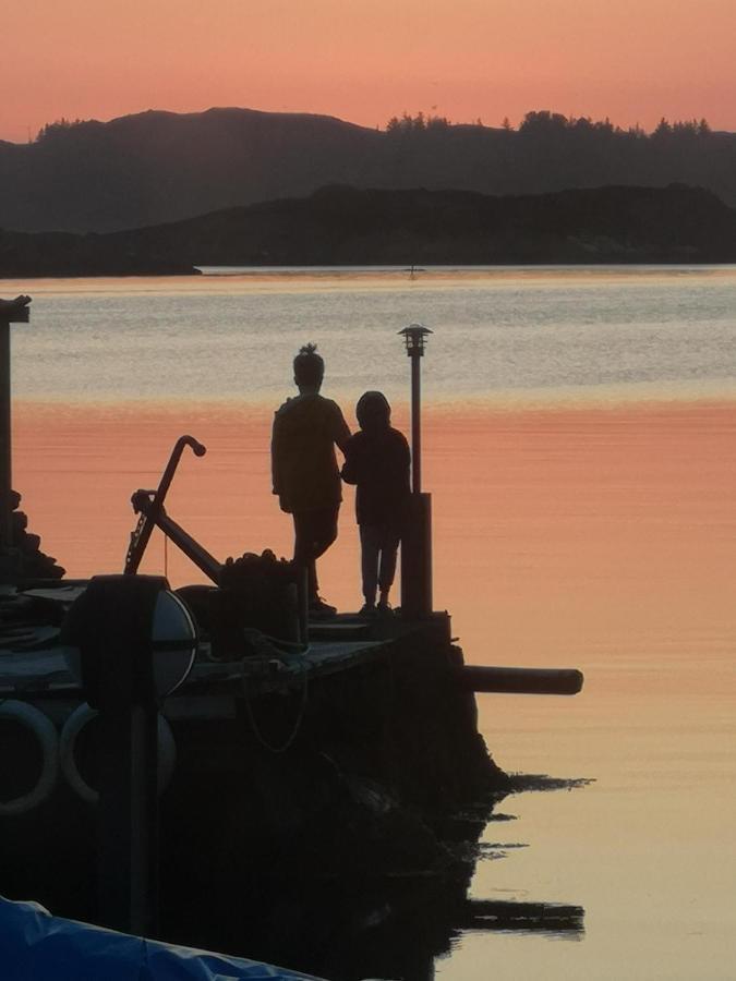 Kobbaneset Hk - Tett Pa Havet - Bekkjarvik Daire Dış mekan fotoğraf