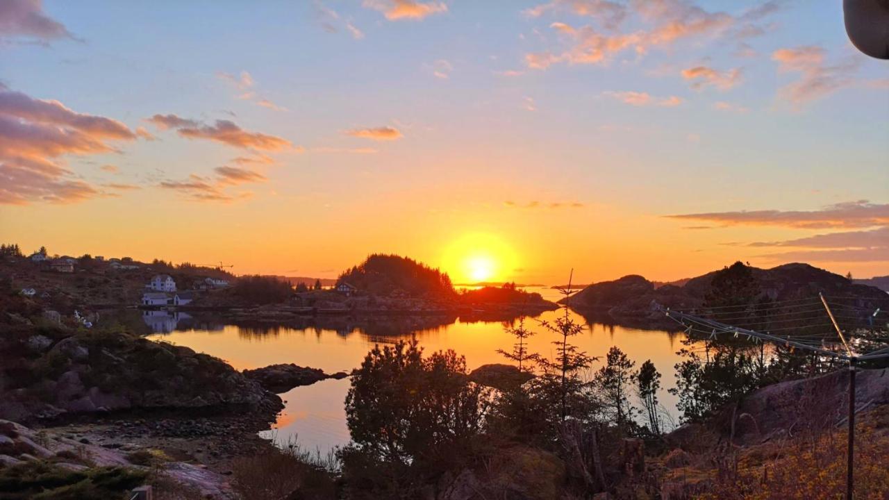 Kobbaneset Hk - Tett Pa Havet - Bekkjarvik Daire Dış mekan fotoğraf